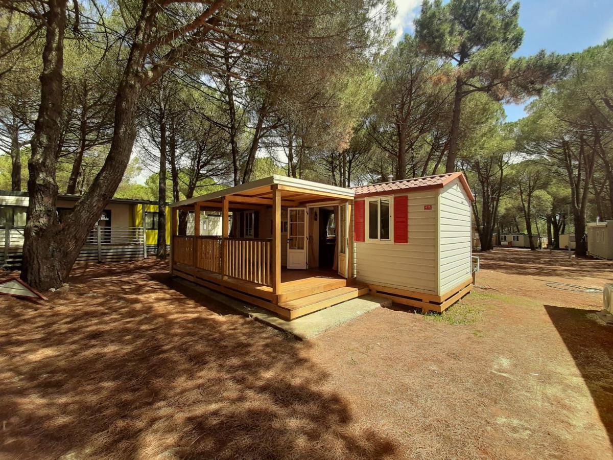 Lux Camp - Mobile Homes In Bi Village فاجانا المظهر الخارجي الصورة